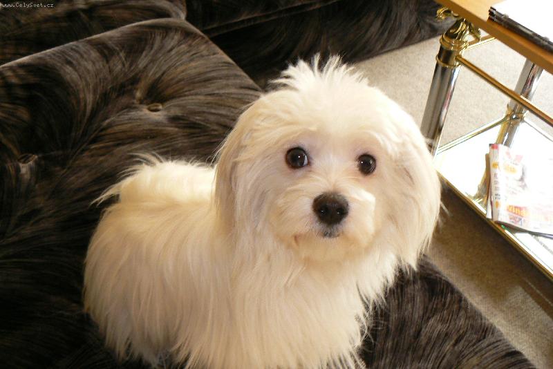 Foto: KIMI-Tak p�jdeme u� ven?