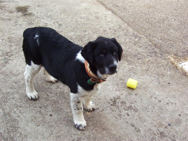 Foto: Kazan-kazan ve 4 m�s�c�ch