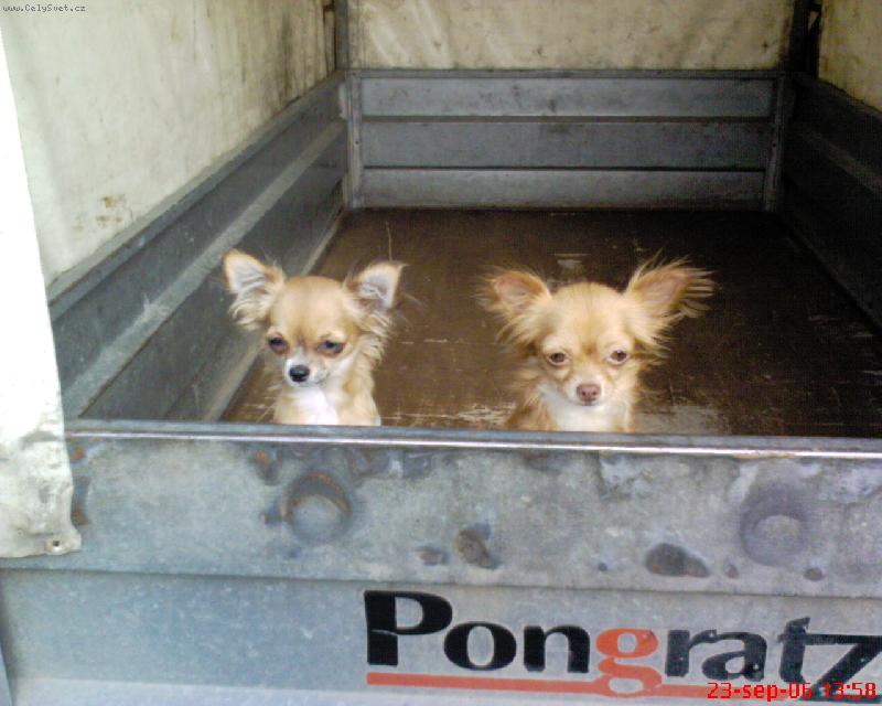 Foto: Chantal a Chejla