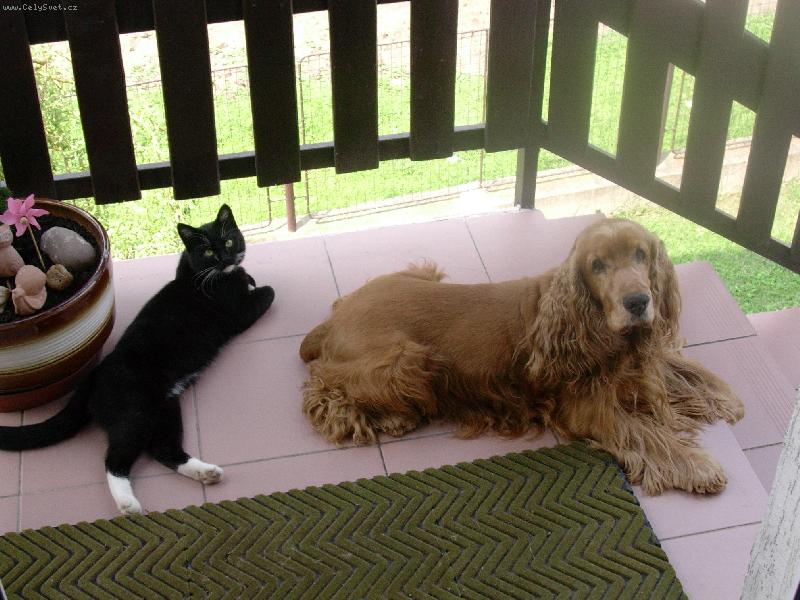 Foto: odpo�inek p�ed proch�zkou