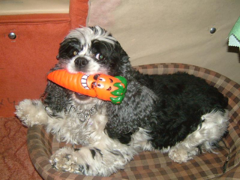 Foto: zdrav� strava?