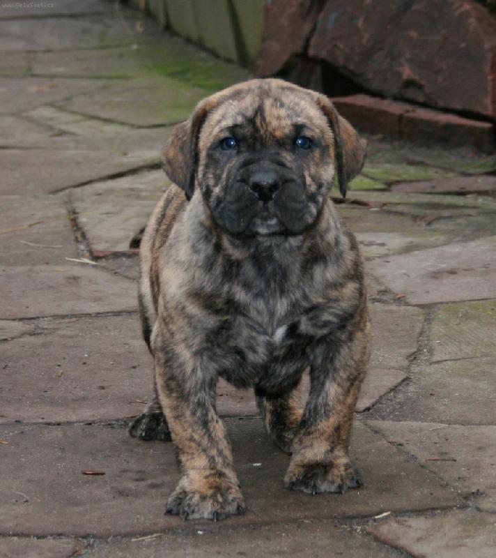 Foto: HURCO Guanchos