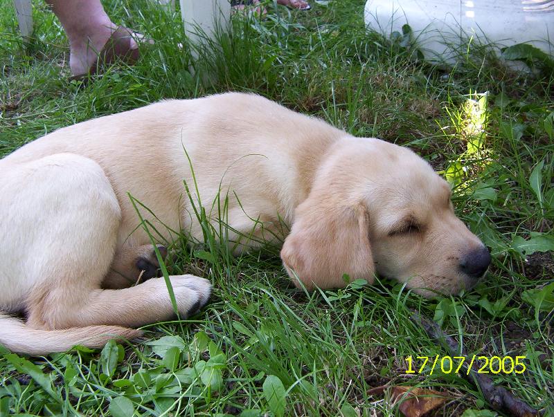 Foto: B�ra poprv� na v�let�-Sladk� sny