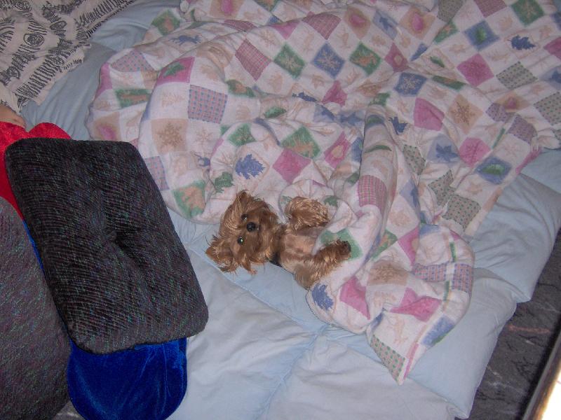 Foto: Tak zhasnout a spinkat!