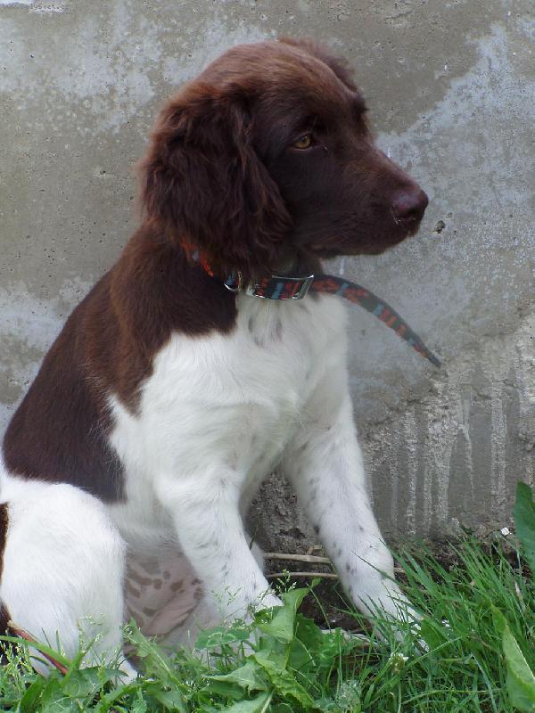 Foto: Hera z Vlasteck�ho vrchu\\.\\.\\.\\.Bona