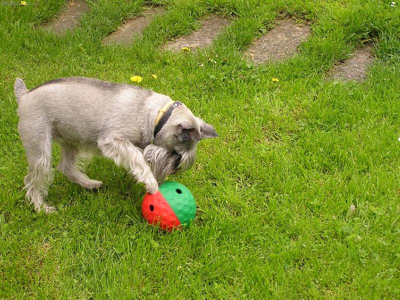 Foto: VIKI-To by bylo\\.\\.\\.