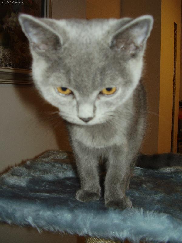 Foto: Max��ek-Max��ek s Maxi hlavi�kou