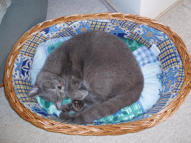 Foto: Max��ek-Max��ek jak spink�