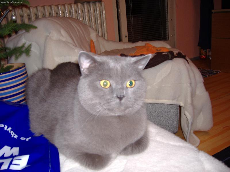 Foto: Bri��k-Osk�rek