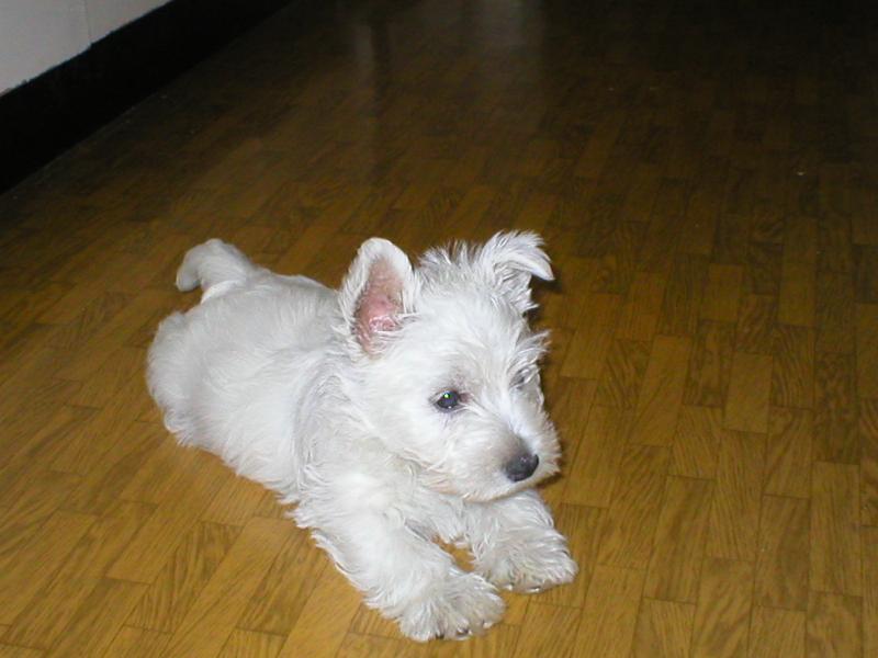 Foto: M�m leh�ro