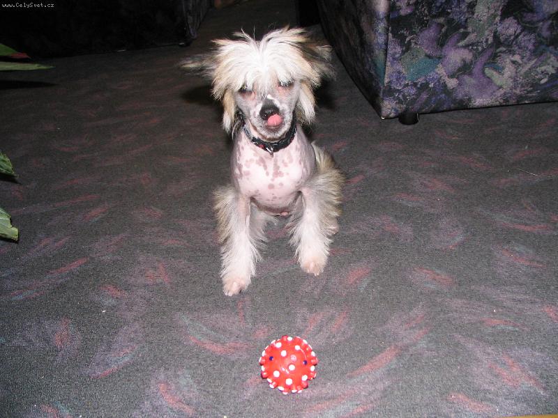 Foto: Meggie-n� mil��ek