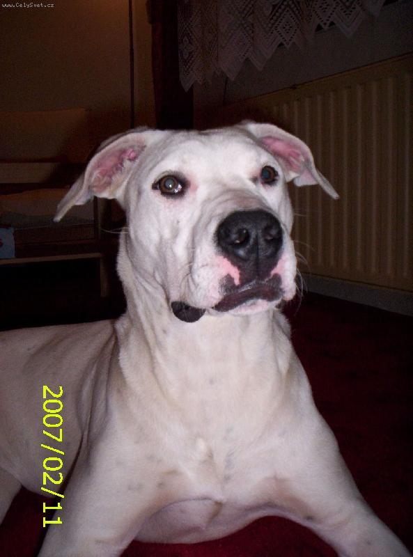 Foto: jak se d�v�m na telku