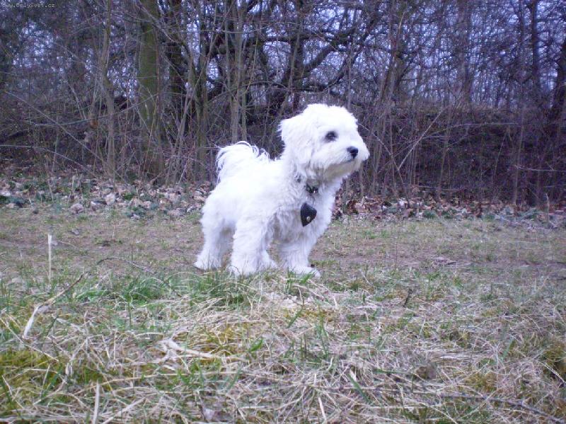 Foto: Mont�k-To m� pani�ka opi�lala,co?:)