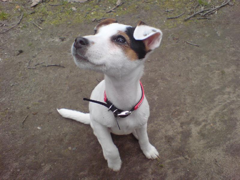 Foto: Agnes p�zuje