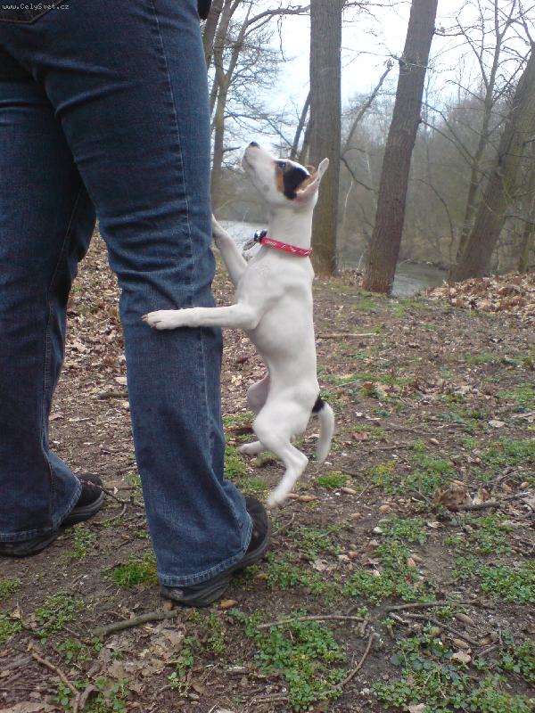 Foto: Agnes sportuje