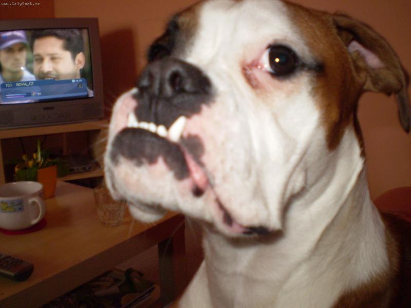 Foto: zase na�e Bar�a