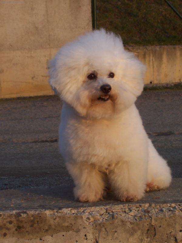 Foto: Andy z �erven�ch roklin