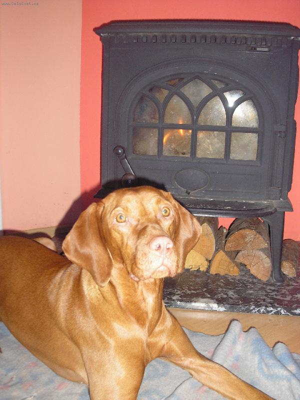 Foto: Tesska u kamen