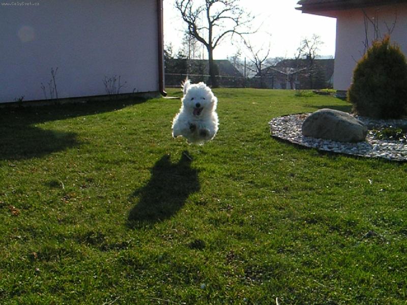 Foto: Mike�ek ze �ukova-let�me :D