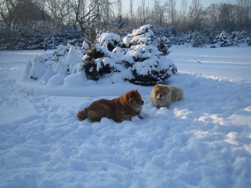 Foto: TAMARA A BRENDA-NA SN�HU