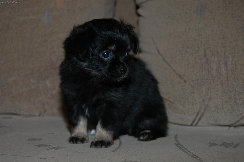 Foto: �ivav� miminka-Anetka