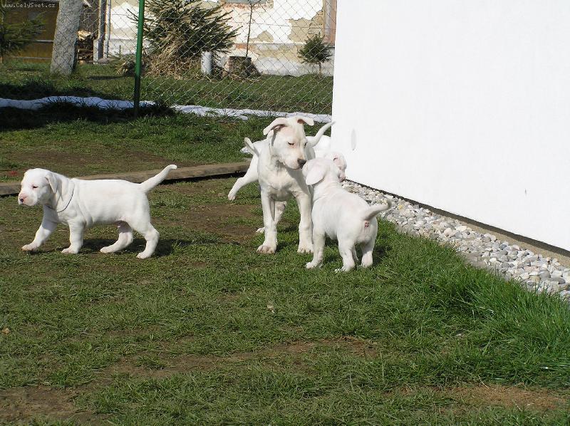 Foto: seznamka C s D