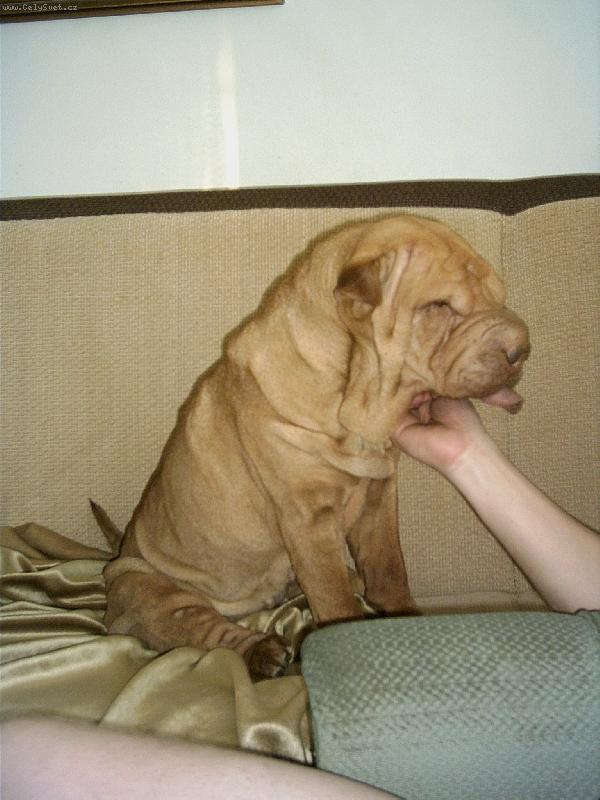 Foto: J����...to je dobrota