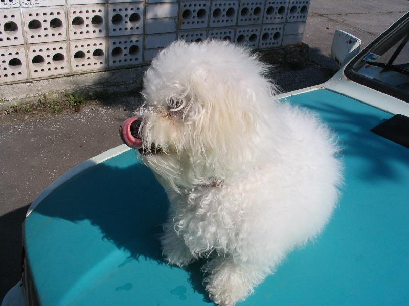 Foto: Mel�n? �lt�? Tak ten m��em