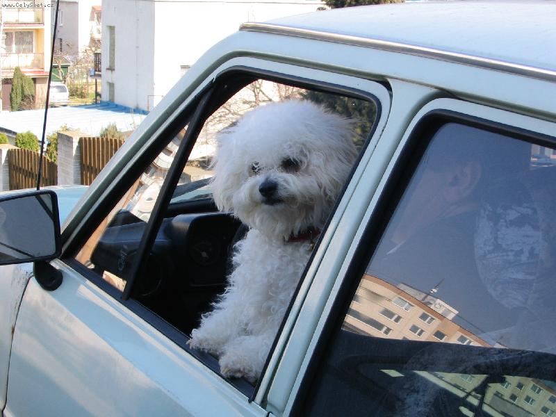 Foto: E�te dlho budem �aka�?