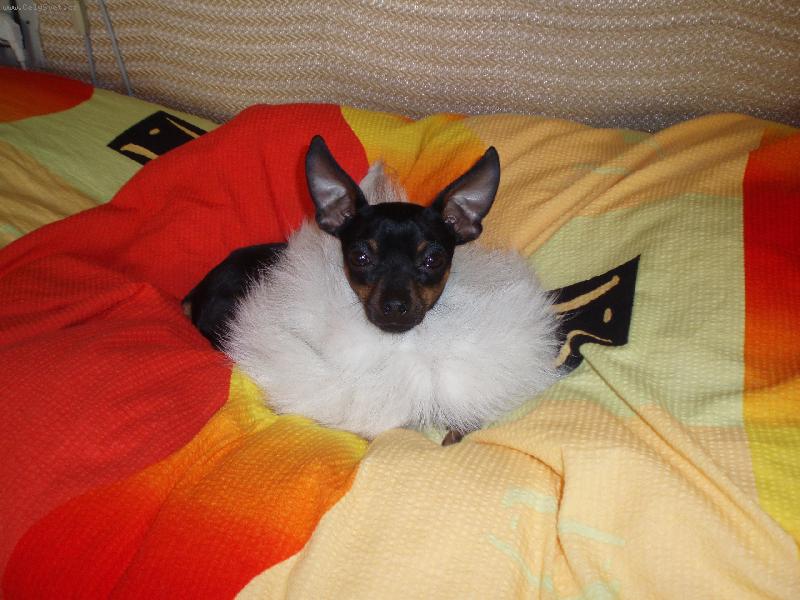 Foto: Autogramy a� na leti�ti!!!