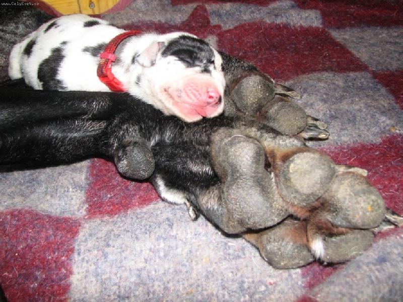 Foto: U maminky-je nejl�pe :-)