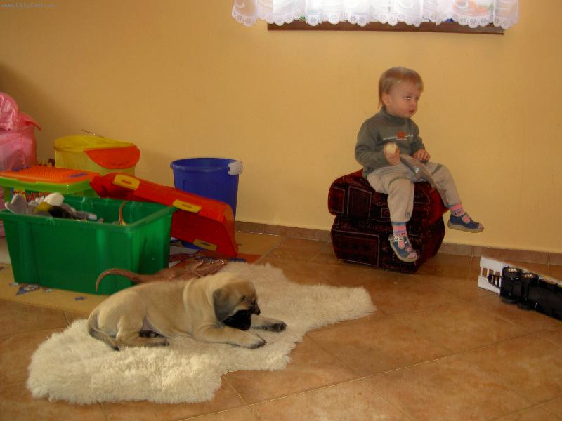 Foto: D�v�me se na TV-Na�e �t���tko