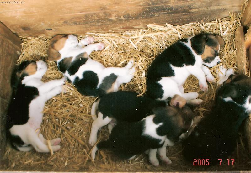 Foto: �t���tka-Jet�ab� Lhota