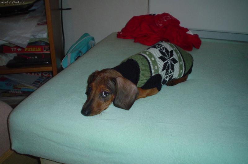 Foto: Robbie�ek-nejkr�sn�j��