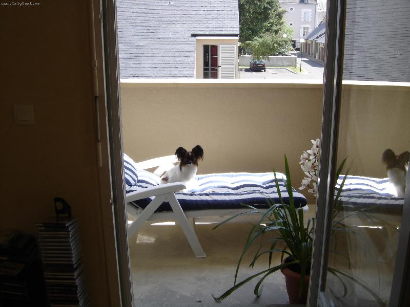 Foto: gizmo-siesta na balkone