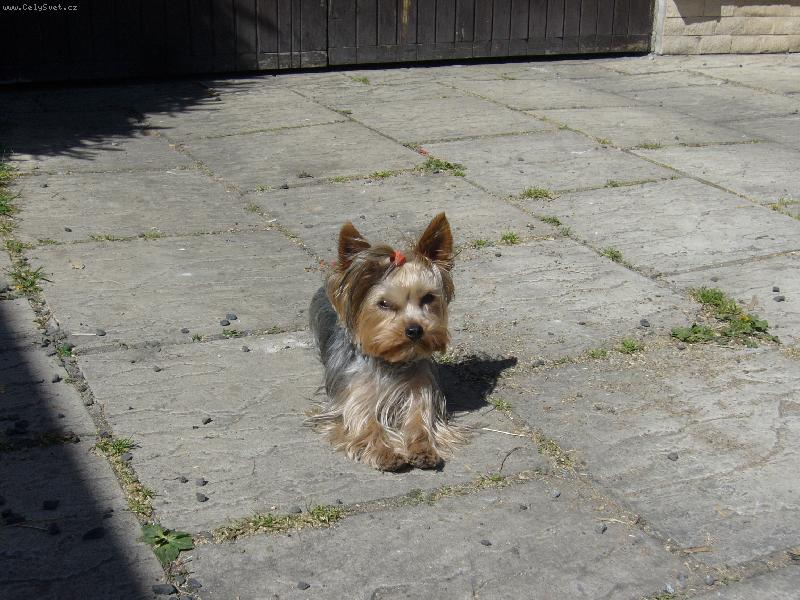 Foto: MIA z D���na