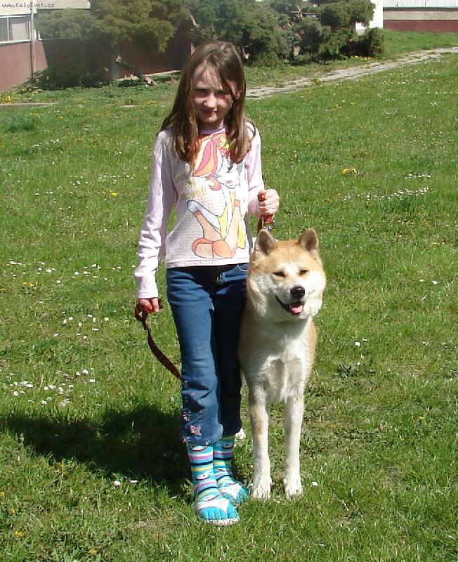 Foto: Aichi Czech Paradise