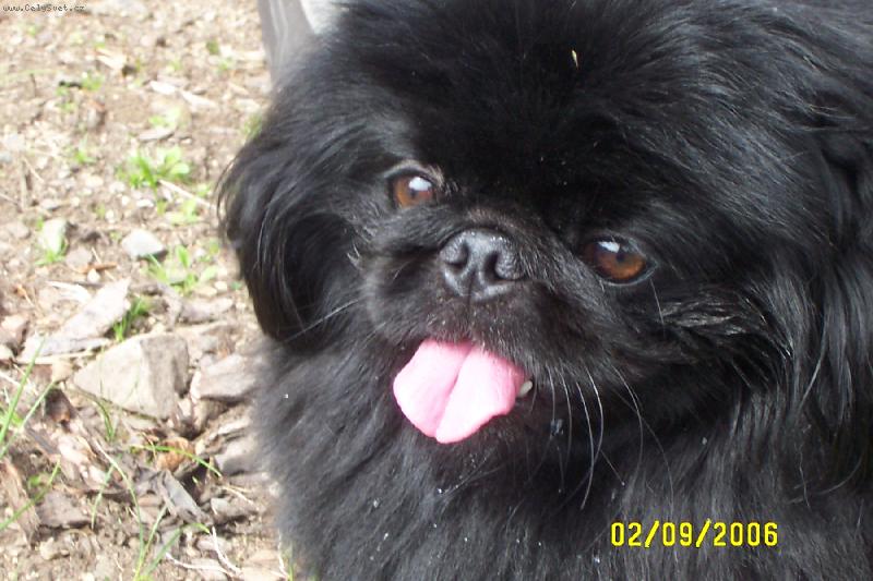 Foto: Kerry Cavendis