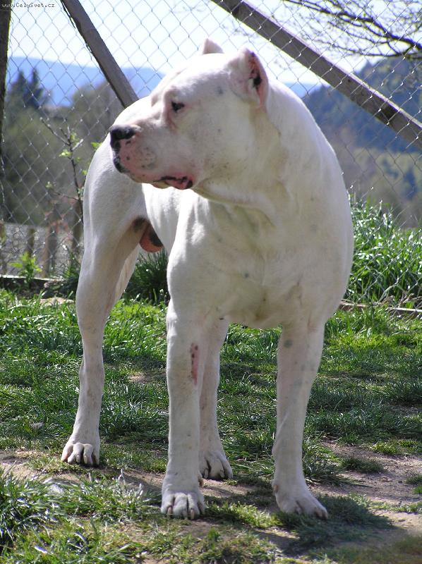 Foto: Ricardo C.de L. de Vianini