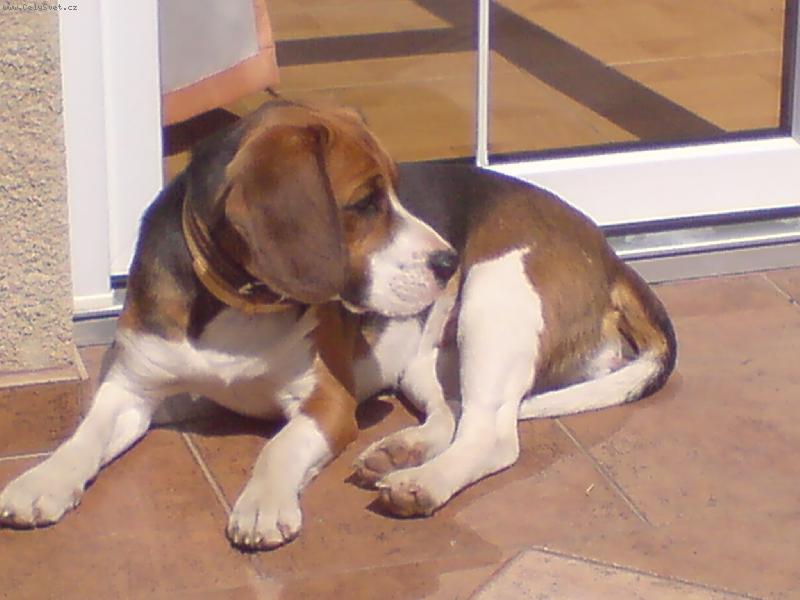 Foto: Vyh��v�m se....