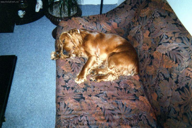 Foto: p�kn� odpo��v�m