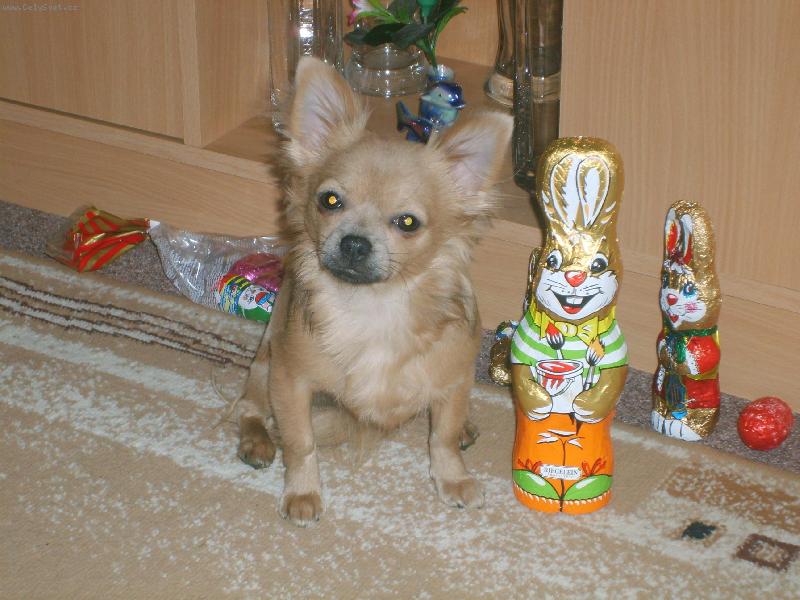 Foto: kdo je v�t�� ja nebo on?