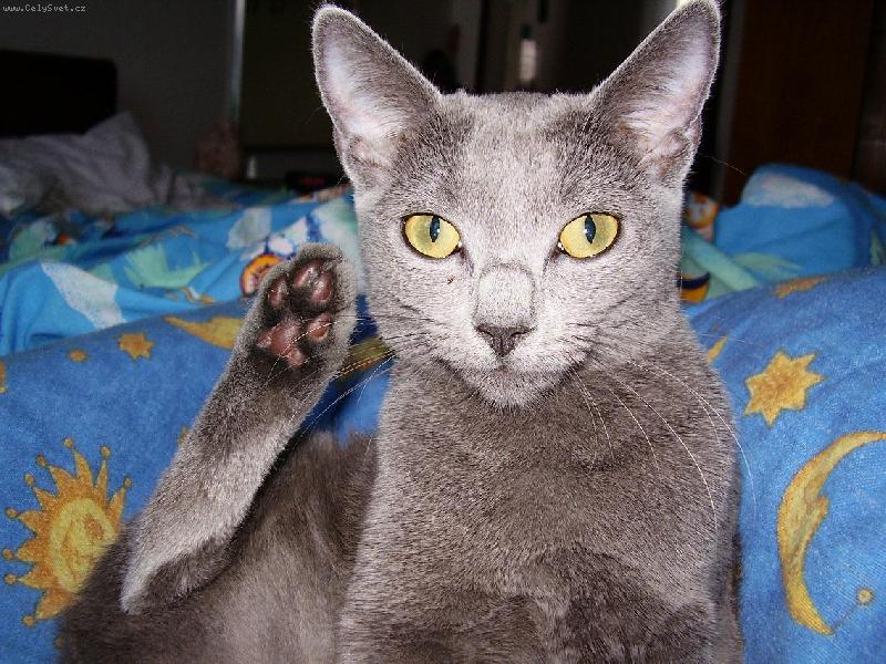 Foto: �istota p�l zdrav�!-Filinka :-)))