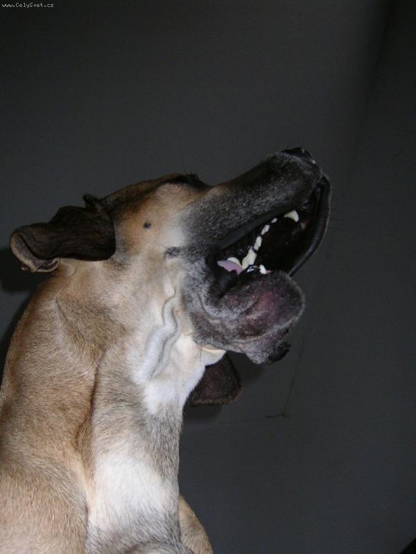 Foto: max�nek-momentka