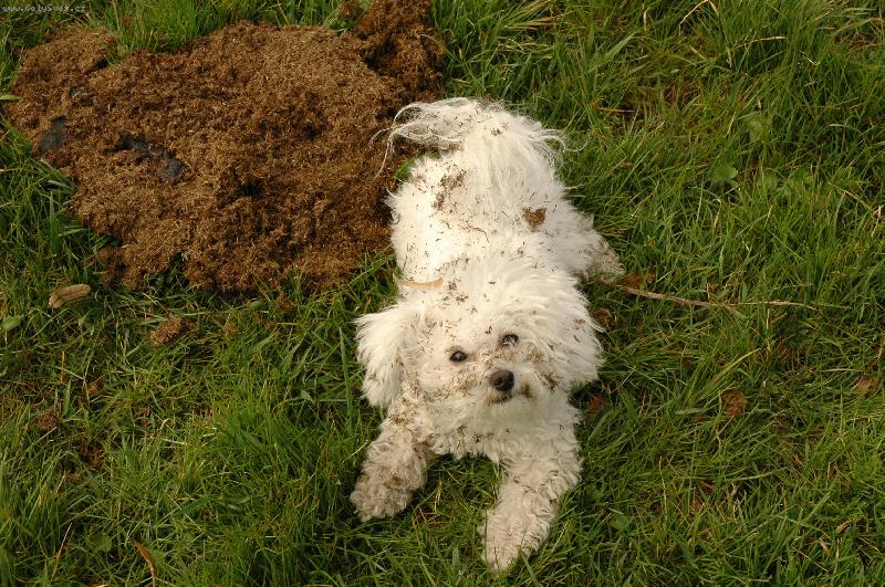 Foto: to je balada vyv�let se v ko�sk�m . . .