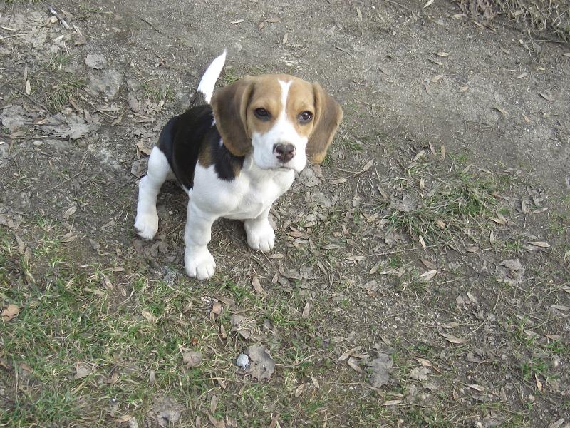 Foto: Aida-u��m se sedni