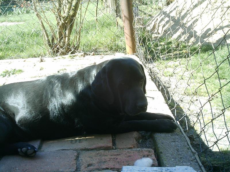 Foto: Sendy-a p�eci kousek st�nu