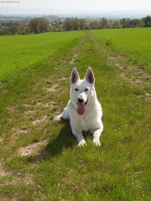 Foto: Jesinta Donnevara
