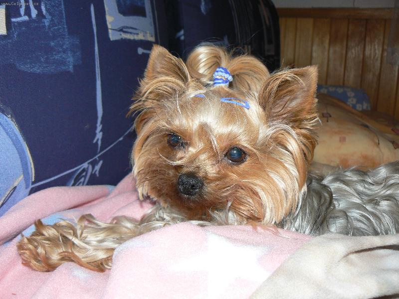 Foto: ospinkan� Ad�lka