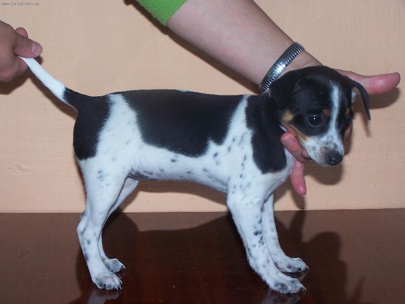 Foto: n�e �t�natko